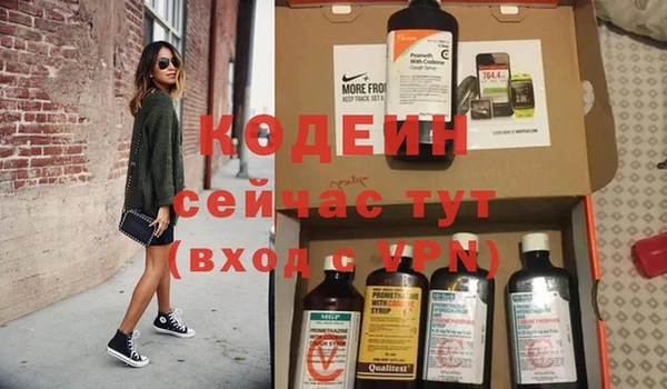 ПСИЛОЦИБИНОВЫЕ ГРИБЫ Медвежьегорск