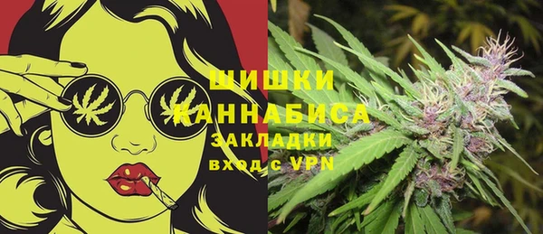 ПСИЛОЦИБИНОВЫЕ ГРИБЫ Медвежьегорск
