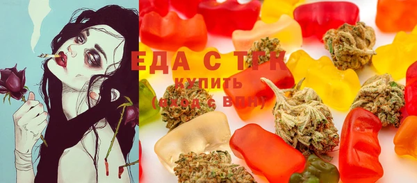 индика Михайловка
