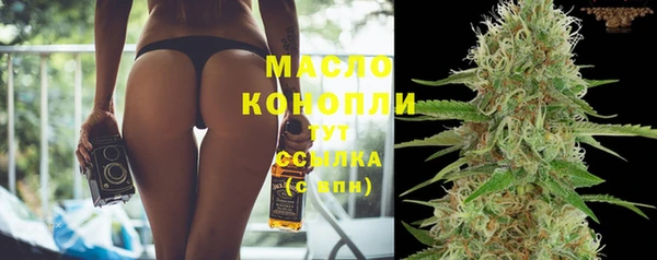 индика Михайловка