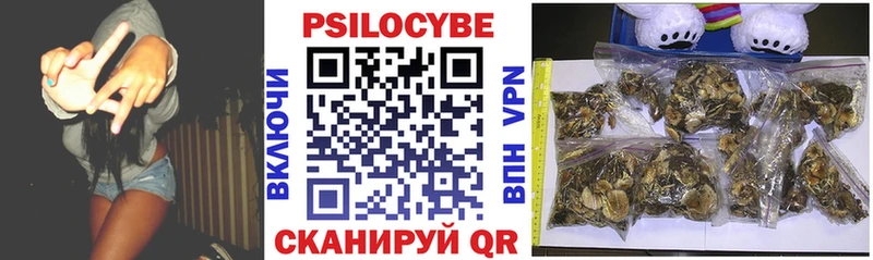 МЕГА   Пионерский  Галлюциногенные грибы прущие грибы 